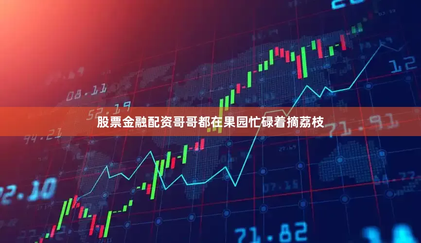 股票金融配资哥哥都在果园忙碌着摘荔枝