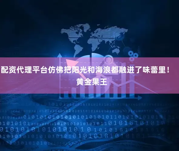 配资代理平台仿佛把阳光和海浪都融进了味蕾里！    黄金果王