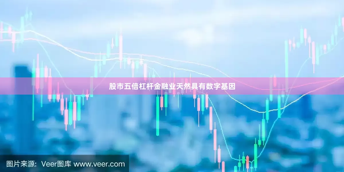 股市五倍杠杆　　金融业天然具有数字基因