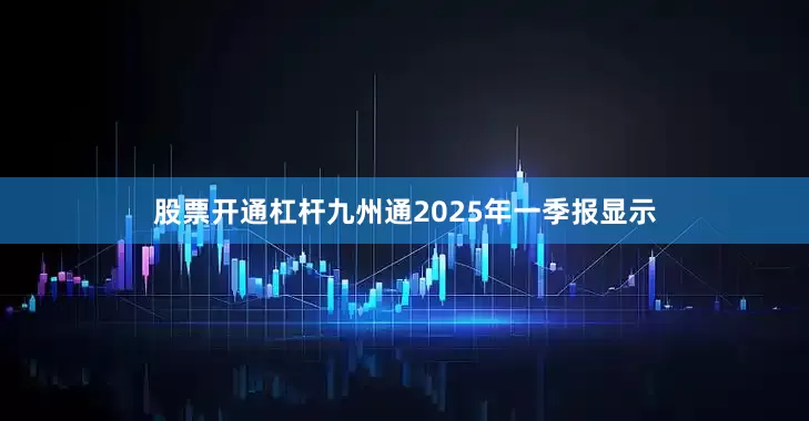 股票开通杠杆九州通2025年一季报显示