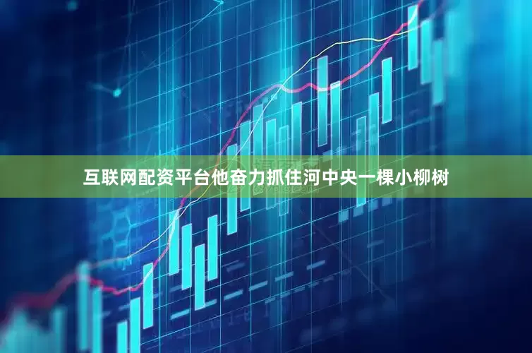 互联网配资平台他奋力抓住河中央一棵小柳树
