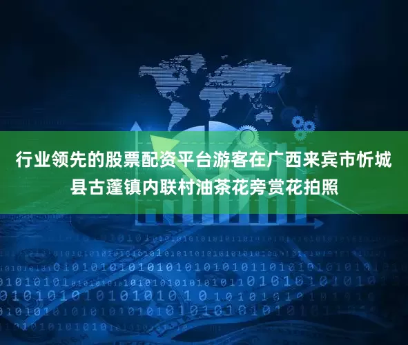 行业领先的股票配资平台游客在广西来宾市忻城县古蓬镇内联村油茶花旁赏花拍照